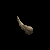 rhinoceros.gif
