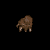bear_zhang.gif