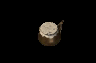 drug08.gif