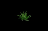 drug02.gif