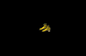 image031.gif